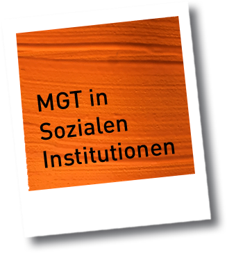 mgt in sozialen institutionen